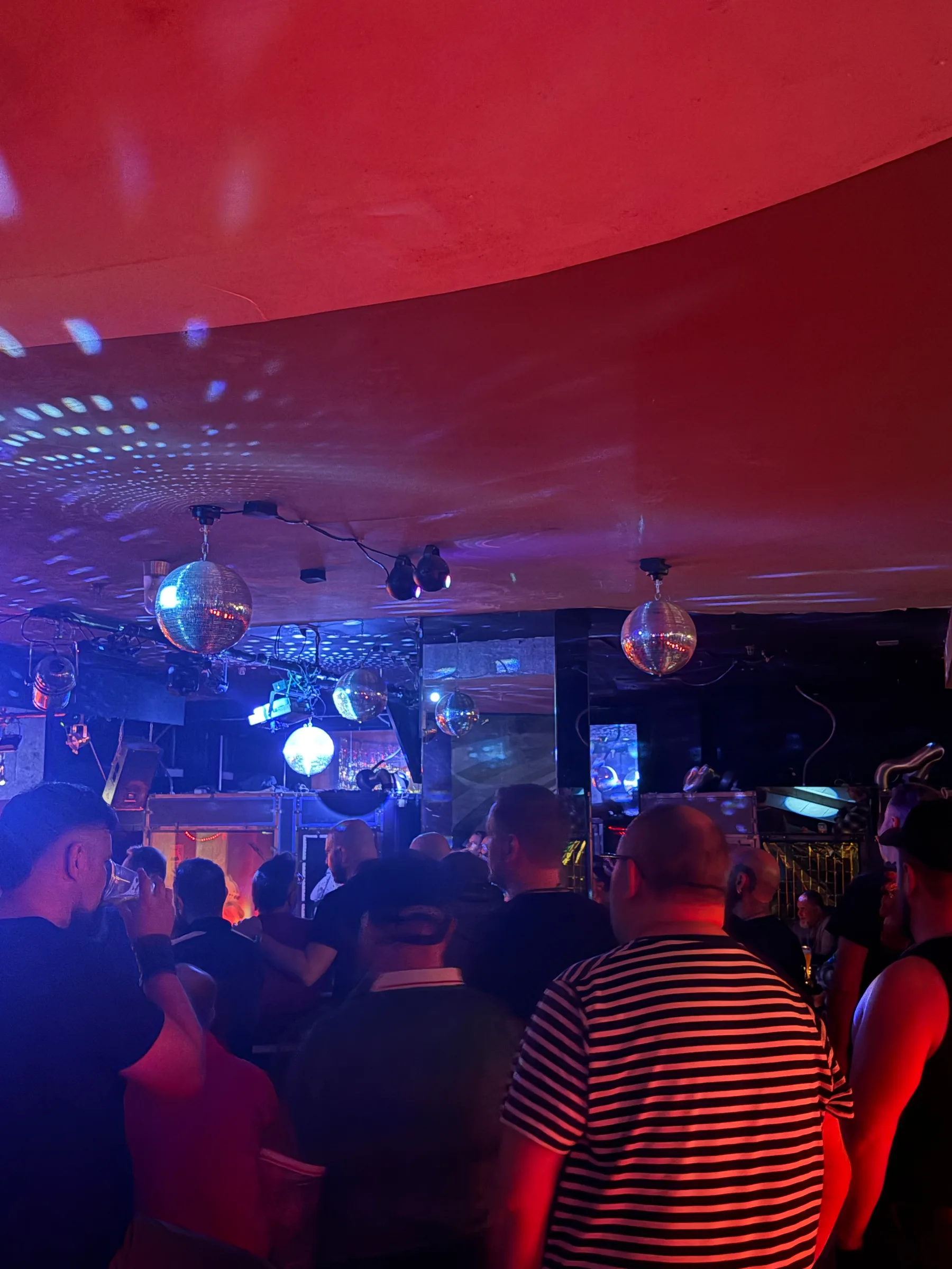 Bearaoke — photo 5