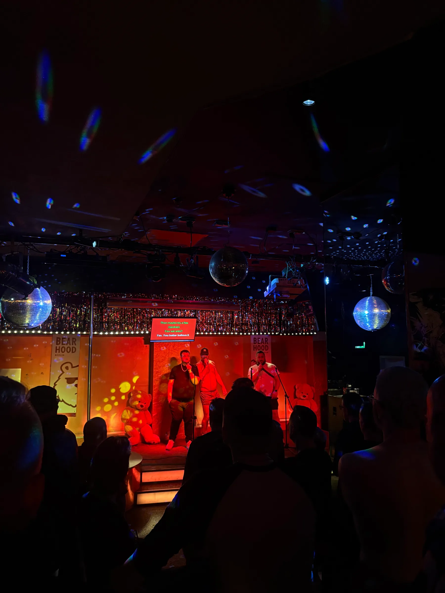 Bearaoke — photo 8