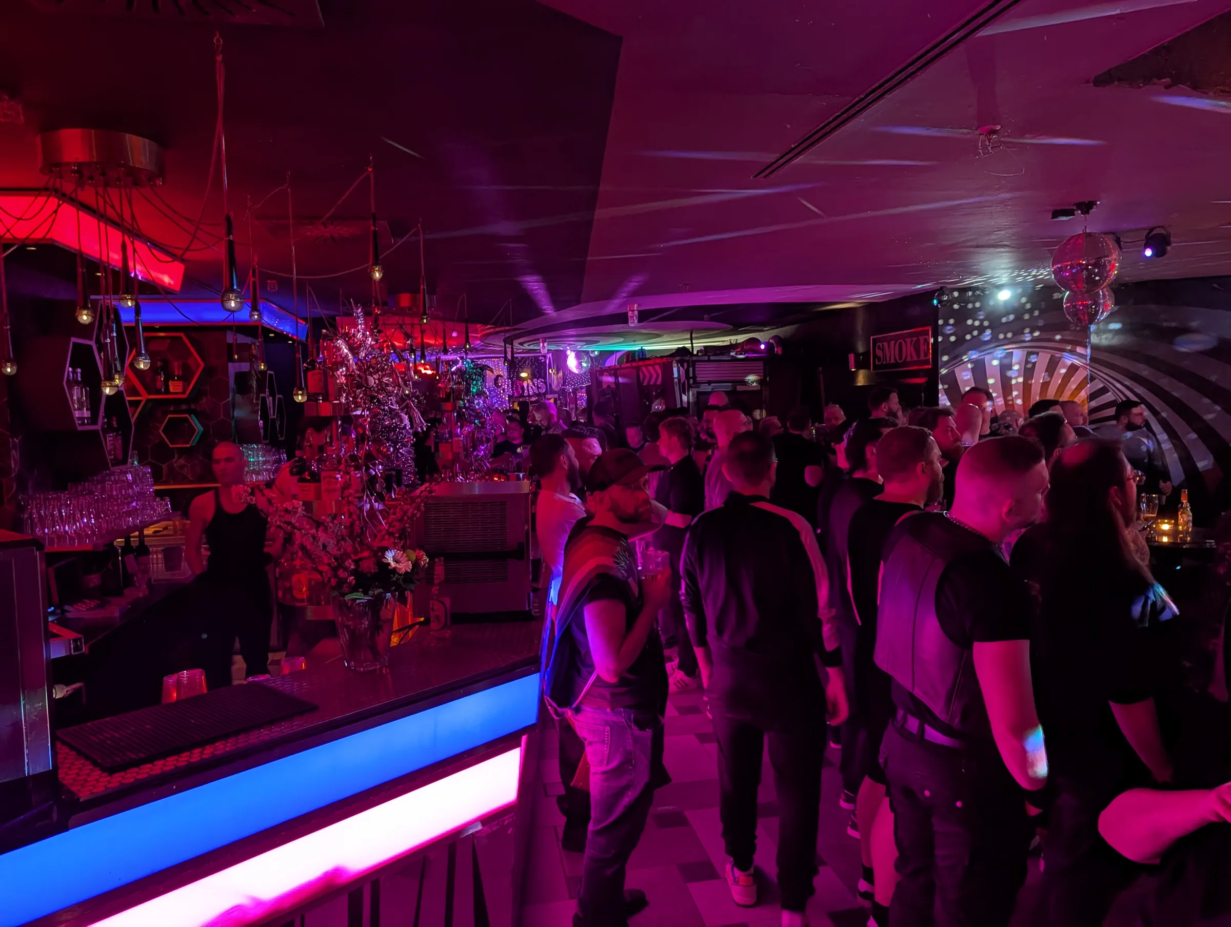 Bearaoke — photo 13