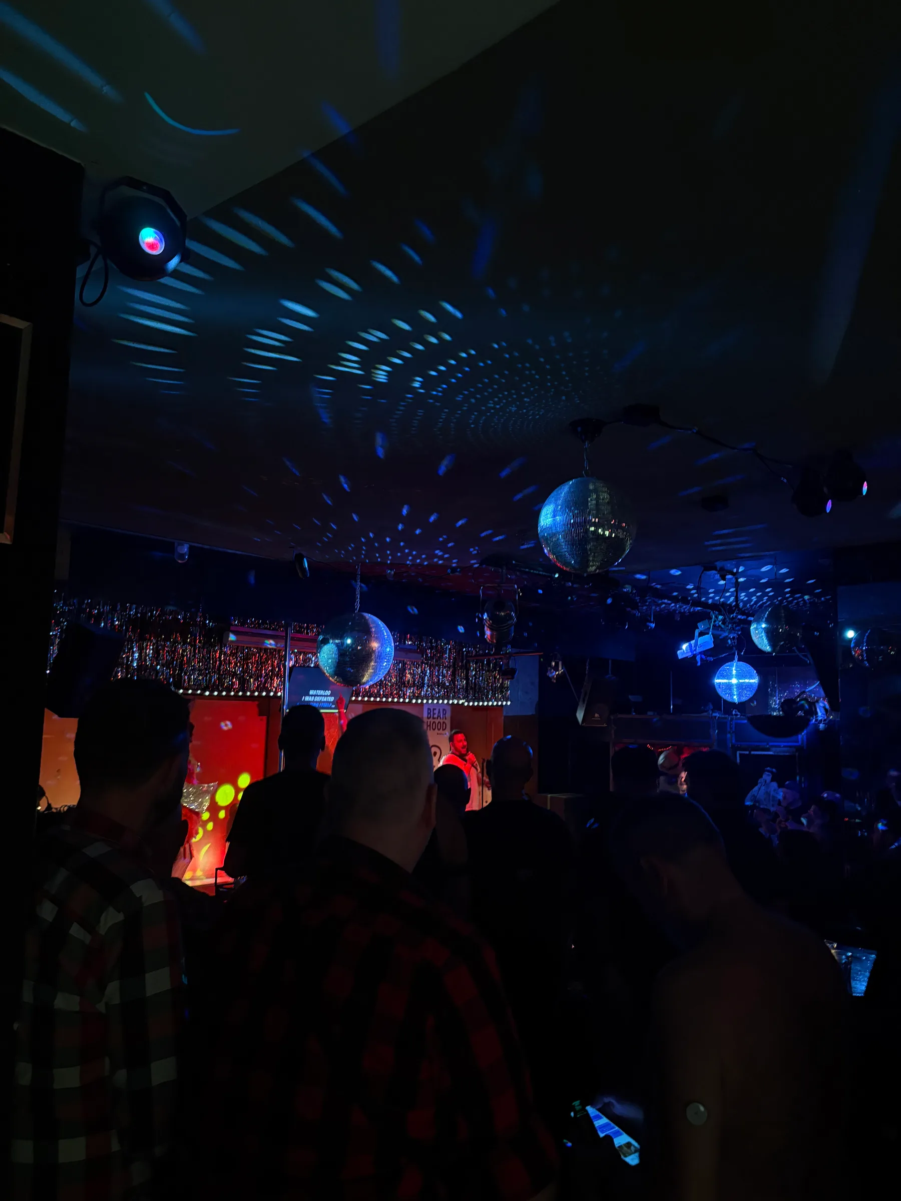 Bearaoke — photo 9