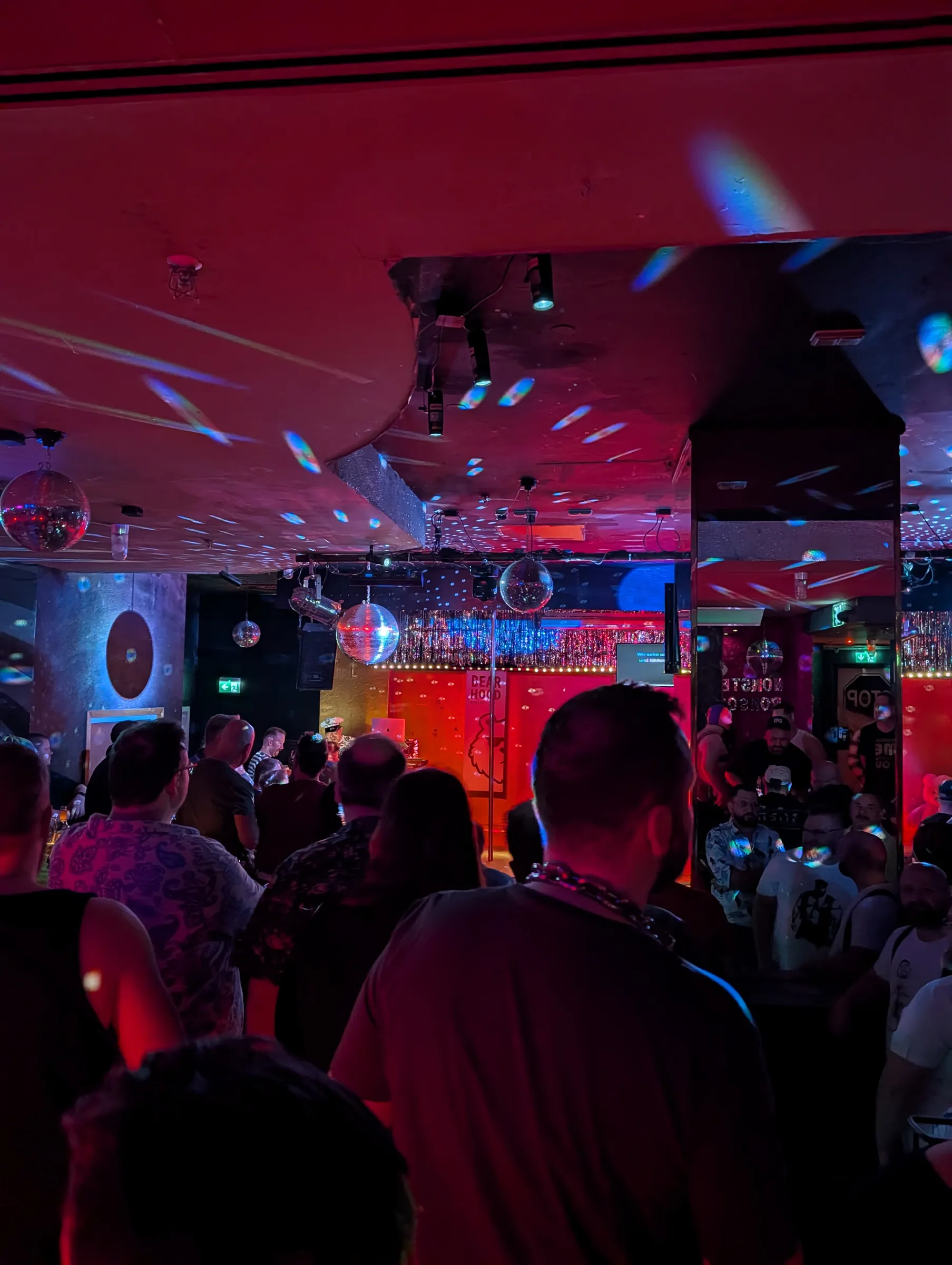 Bearaoke — photo 10